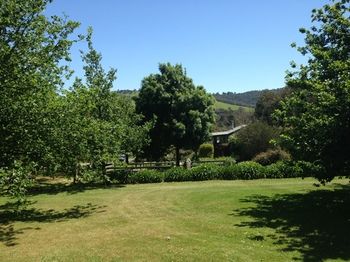Yarraglen BnB - Tourism Canberra 27