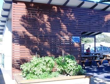 Woolgoolga Beach Holiday Park - Tourism Canberra 6