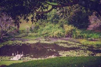 Allara Homestead - Tourism Canberra 5