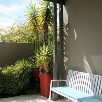 Chaucer Palms Boutique Bed & Breakfast - Tourism Canberra 26