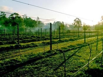 Hunter Country Lodge - Tourism Canberra 3
