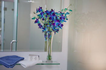 Grand Hotel Wyong - Tourism Canberra 0