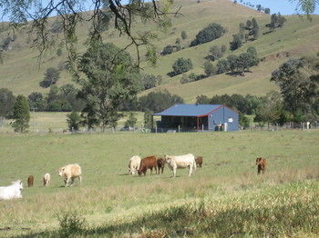 The Wattle Lodge - Tourism Canberra 19