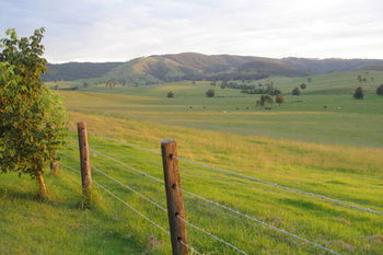 The Wattle Lodge - Tourism Canberra 21