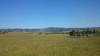The Wattle Lodge - Tourism Canberra 26