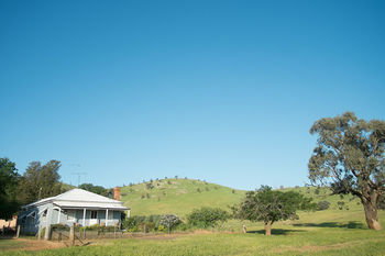 Kimo Estate - Tourism Canberra 10