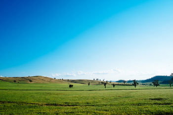 Kimo Estate - Tourism Canberra 17
