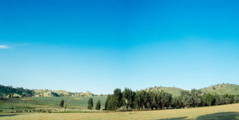 Kimo Estate - Tourism Canberra 18
