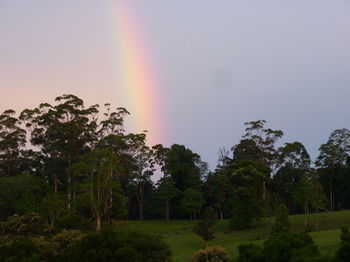 Bellthorpe Stays - Tourism Canberra 19