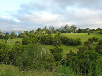 Bellthorpe Stays - Tourism Canberra 34