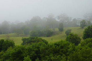 Bellthorpe Stays - Tourism Canberra 35