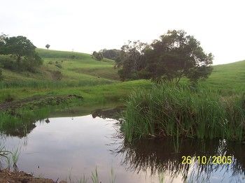 Bellthorpe Stays - Tourism Canberra 39