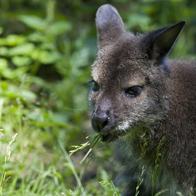 Allure Beach Retreat - Tourism Canberra 6