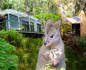 Huon Bush Retreats - Tourism Canberra 0