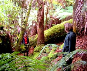 Huon Bush Retreats - Tourism Canberra 3