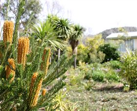 Yooringa Garden Cottage - Tourism Canberra 0