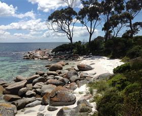 Lake Eckersley Campground - Tourism Canberra 2