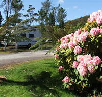 Zeehan Bush Camp  and Caravan Park - Tourism Canberra
