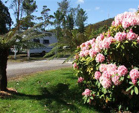 Zeehan Bush Camp  And Caravan Park - Tourism Canberra 0