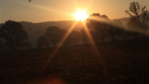 Gentle Annie Caravan And Camping Reserve - Tourism Canberra 1