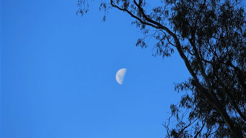 Gentle Annie Caravan And Camping Reserve - Tourism Canberra 4