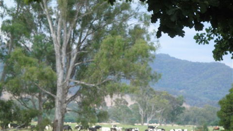 Gentle Annie Caravan And Camping Reserve - Tourism Canberra 3