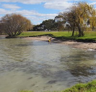 Kangaroo Lake Caravan Park - Tourism Canberra