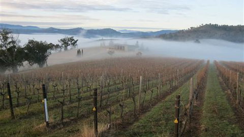 Valley View Caravan Park - Tourism Canberra 5