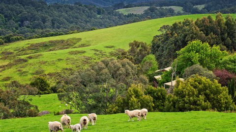 Johanna River Farm And Self Contained Cottages - Tourism Canberra 1