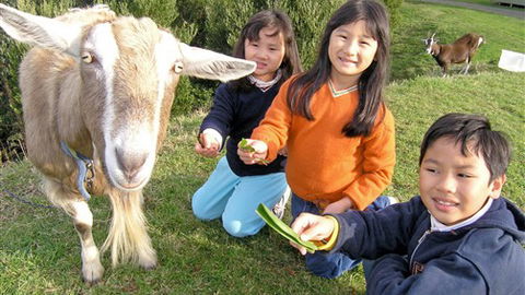 Johanna River Farm And Self Contained Cottages - Tourism Canberra 0