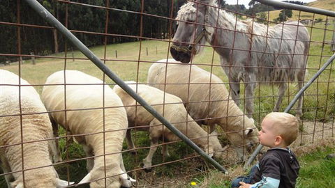 Johanna River Farm And Self Contained Cottages - Tourism Canberra 3