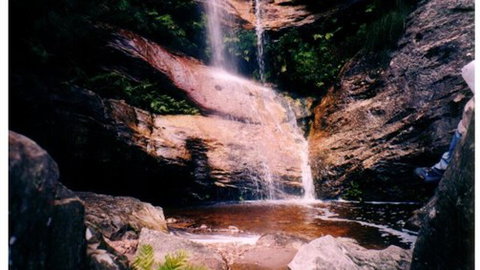 Happy Wanderer Holiday Resort - Tourism Canberra 1