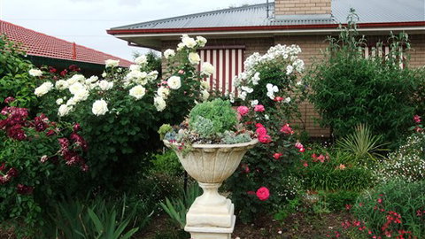 Admurraya House Bed And Breakfast - Tourism Canberra 5
