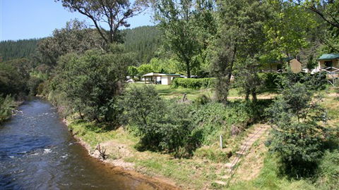 Porepunkah Pines Holiday Park - Tourism Canberra 3
