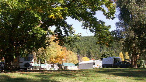 Porepunkah Pines Holiday Park - Tourism Canberra 5