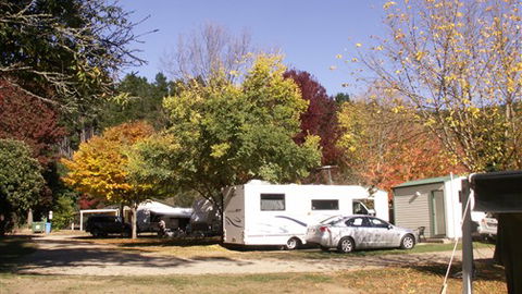 Porepunkah Pines Holiday Park - Tourism Canberra 6