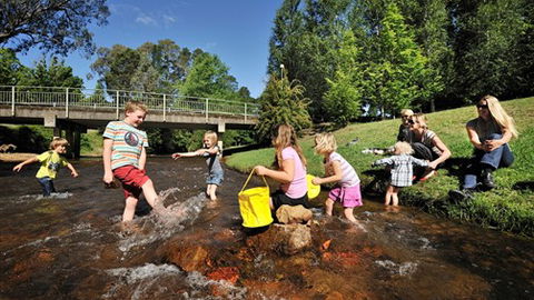 NRMA Bright Holiday Park - Tourism Canberra 3