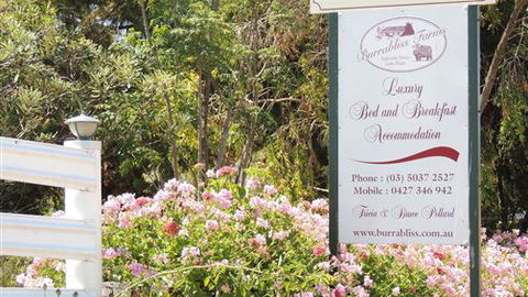 Burrabliss Bed And Breakfast - Tourism Canberra 6