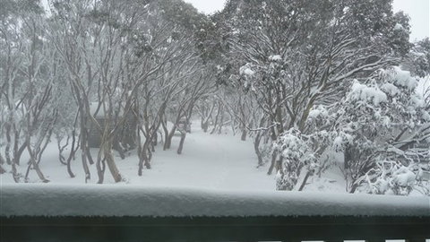 Leeton Lodge - Tourism Canberra 6