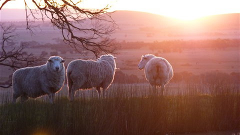 Tuki Trout Farm And Retreat - Tourism Canberra 4
