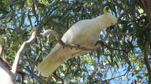 River Gardens Bed And Breakfast Farmstay - Tourism Canberra 1