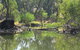 River Gardens Bed And Breakfast Farmstay - thumb 2