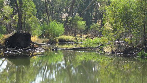 River Gardens Bed And Breakfast Farmstay - Tourism Canberra 2