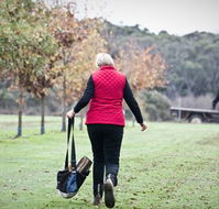 Black Cat Cottage - Tourism Canberra