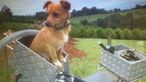 Farm Accommodation - Tourism Canberra 1