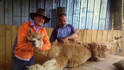 Farm Accommodation - Tourism Canberra 3