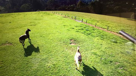 Farm Accommodation - Tourism Canberra 4