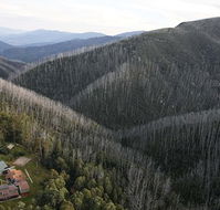 Howmans Gap Alpine Centre YMCA - Tourism Canberra
