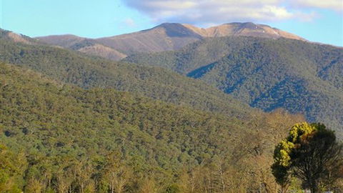 Mountain View Retreat - Tourism Canberra 4