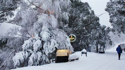 Feathertop Alpine Lodge - Tourism Canberra 0